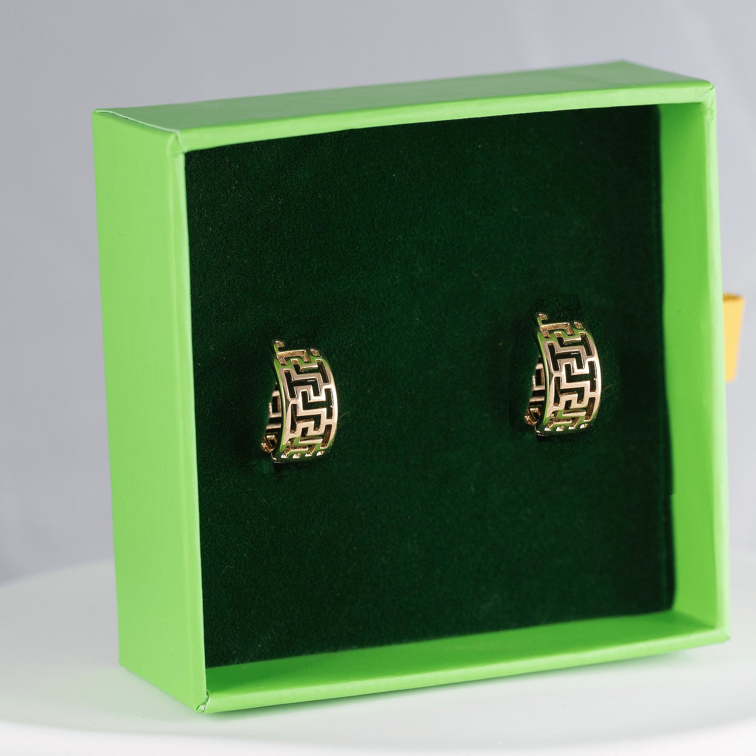 Antialerģiski Riņķīšu auskari 'DĀRTA'